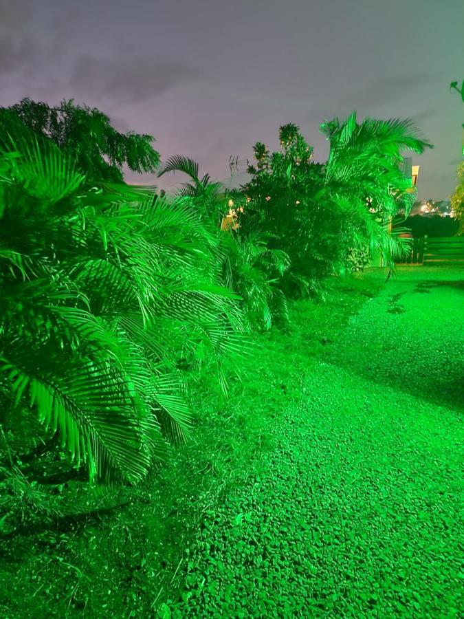Le Jeipur Villa Vue Mer Piscine Privee سانت فرانسوا المظهر الخارجي الصورة
